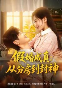 �ٻ����ӷַ�������