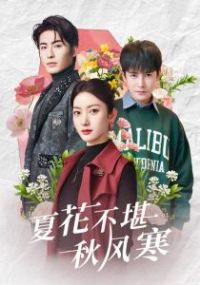 �Ļ�������纮