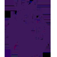 Ӣ�� ������vsˮ����20251204