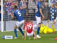 Ӣ������ ����˹ά��VS��ɭ�� 20250420