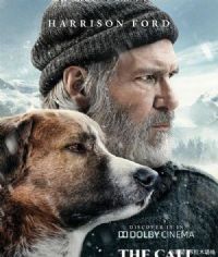 �����ػ�Ȯ��Ӱ�ӽ�˵��