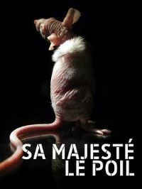 ë��������